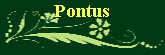 Pontus